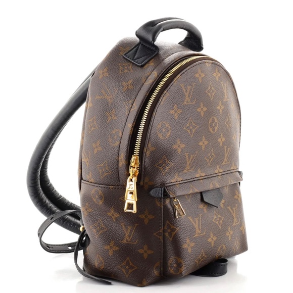 Louis Vuitton Palm Springs Backpack Monogram Canvas PM - Picture 3 of 3
